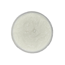 Load image into Gallery viewer, Strengthening Protein Deep Conditioner